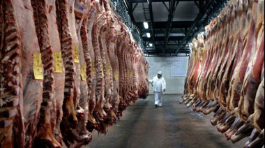 La crisis del sector cárnico en Argentina: un futuro incierto