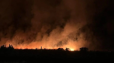 Incendio forestal en Mar del Plata: más de 200 hectáreas arrasadas