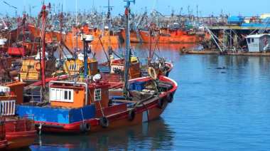 La Justicia federal investiga presunta contaminación industrial en el Puerto de Mar del Plata