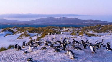 Más allá de Argentina: así aparecen nombradas las Islas Malvinas en Reino Unido y otros países