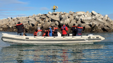 Chubut: Comodoro Rivadavia sumará experiencias de naturaleza con fauna marina