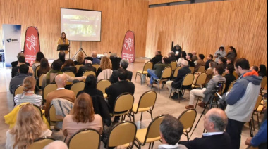 Cafayate fue sede de un informe sobre innovación y crecimiento de los vinos del NOA