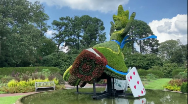 "Maravillosa Alicia": la experiencia inmersiva y nocturna en el Jardín Botánico que lleva su universo fantástico