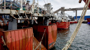 Pesca fresquera pidió al Consejo Federal Pesquero declarar la emergencia del sector por “quebranto estructural”