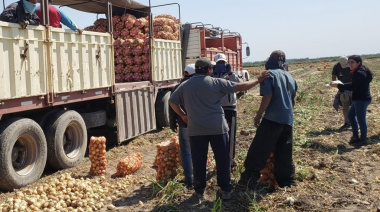 Trabajadores rurales cobrarán desde $1.088.000 en junio: Trabajo homologó la nueva escala de UATRE
