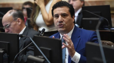 Abad denunció en el Senado la “destrucción de IOMA” y responsabilizó a Kicillof por la crisis de la obra social