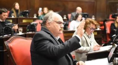 Schiavone advirtió que cambiar las reelecciones “debilita la calidad institucional”