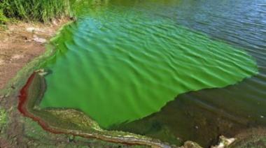 Cianobacterias: restringieron el ingreso a ríos y lagunas de 17 municipios bonaerenses