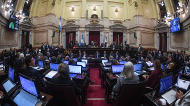 El Senado aprobó la ley de desalojos exprés del Gobierno, pero le bajó dos capítulos clave