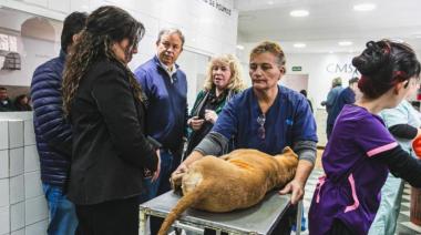 El modelo de Zoonosis Brown se replica en otros municipios