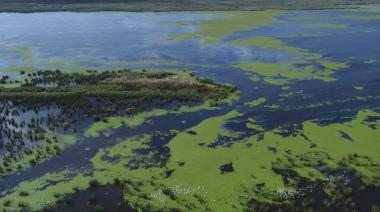 Kicillof reforzó los controles sobre las islas bonaerenses
