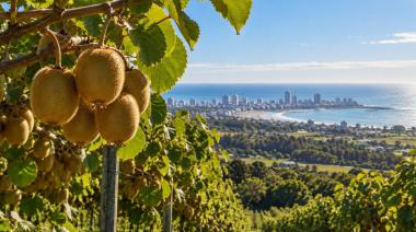 General Pueyrredon quiere convertirse en la Capital Provincial del Kiwi