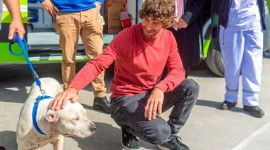 San Fernando prohibió los criaderos y la venta de mascotas