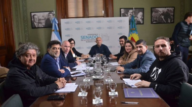 Con el impulso de Lago, el Senado avanza hacia el laboratorio bonaerense y el sistema integrado de salud