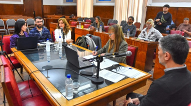 Alerta en Mar del Plata: el HIGA registró 153 ingresos por intentos de suicidio en nueve meses y crece la preocupación