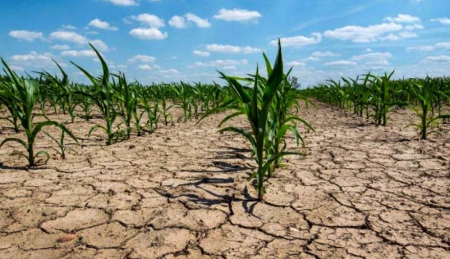 Emergencia agropecuaria: La Provincia se reúne con productores afectados por la sequía