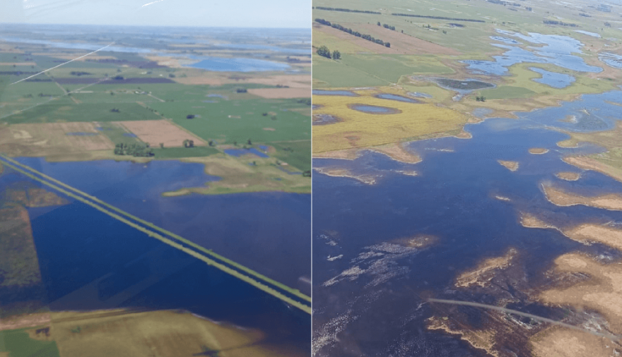Productores de 9 de Julio solicitan la emergencia agropecuaria ante la difícil situación por las lluvias