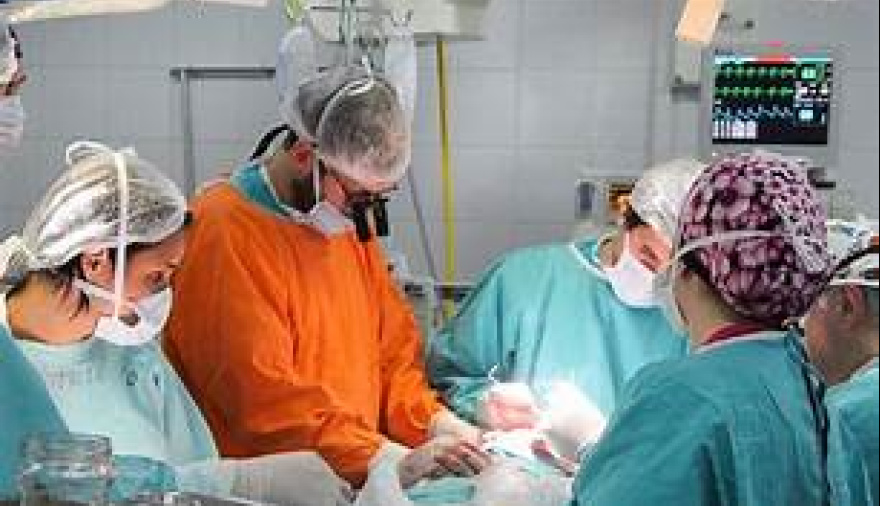 Récord de donación de órganos en Argentina: Esteban Echeverría lideró el camino