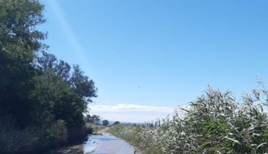 Radiografía crítica: más de 7 de cada 10 caminos rurales están destruidos en la Provincia