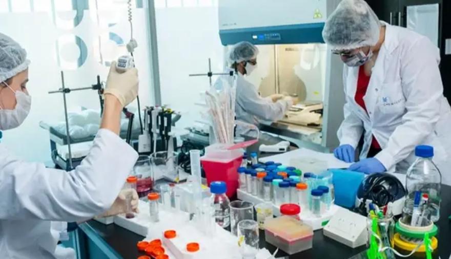 Lanzan un fondo para financiar investigaciones en ciencias sociales y humanas