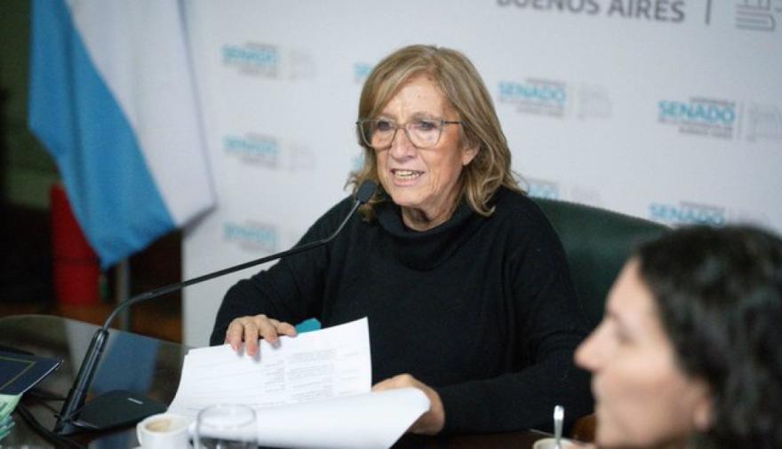 Avanza en el Senado bonaerense la regulación de asistentes personales