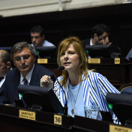 Para la diputada Saintout "la Gobernadora no habla de las problemáticas de la Provincia"