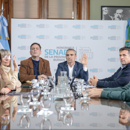 Senado: La comisión de Presupuesto le dio luz verde al proyecto de endeudamiento de Kicillof