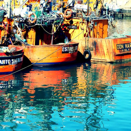 Crece la crisis pesquera en Mar del Plata y las críticas a la inacción de Montenegro
