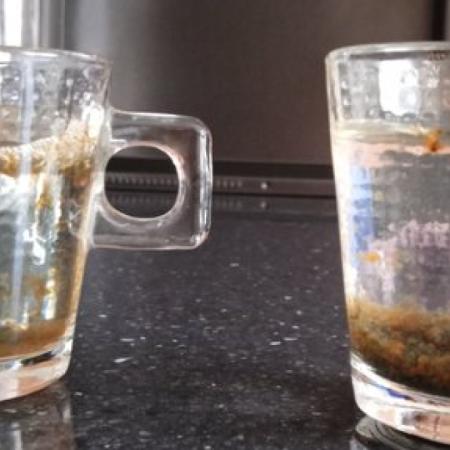 Piden respuestas sobre el agua potable en PBA