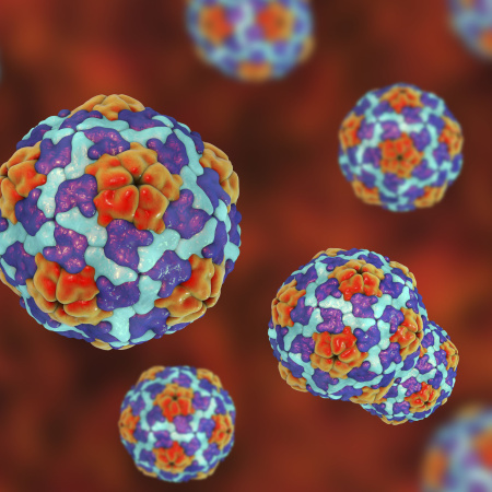 Ya son once los casos de Hepatitis A en la PBA