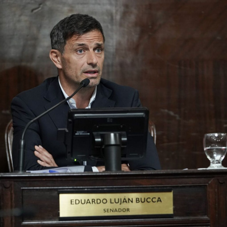 Senado bonaerense: exigen una ley para frenar las muertes por monóxido de carbono