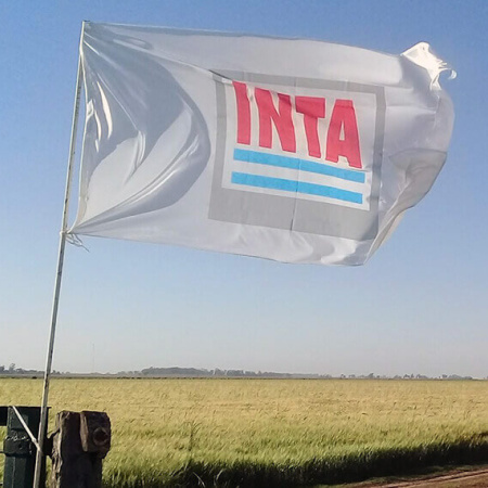 La motosierra no descansa: despedirán a 700 trabajadores del INTI y el INTA