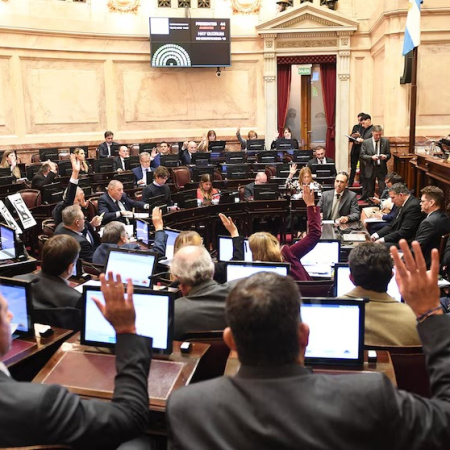 Triple revés para Milei en el Senado: se aprobó el aumento a jubilados, la moratoria y la emergencia en discapacidad