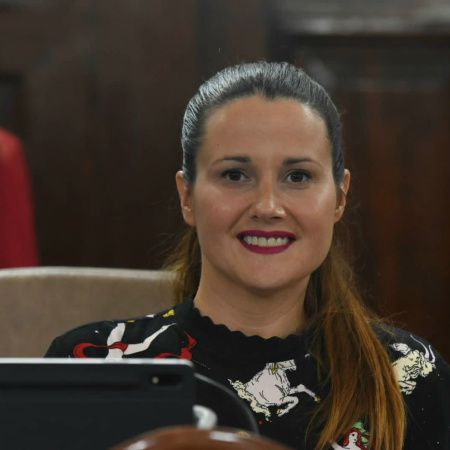 Piden que la Municipalidad de La Plata adhiera al Régimen de Promoción de la Economía del Conocimiento