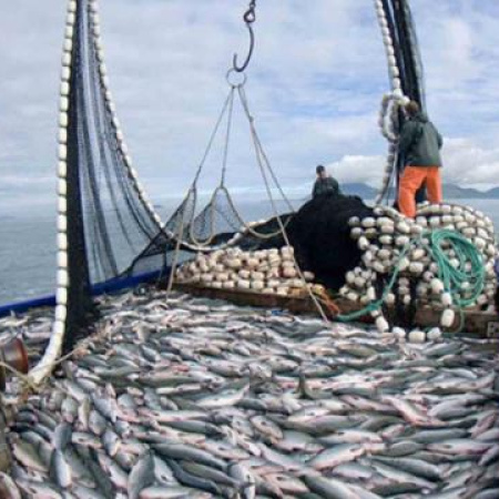 Abad propone eliminar retenciones para impulsar la pesca como motor de desarrollo nacional