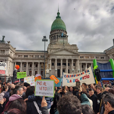 Diputados rechazó el veto de Javier Milei a la Ley de Emergencia en Discapacidad