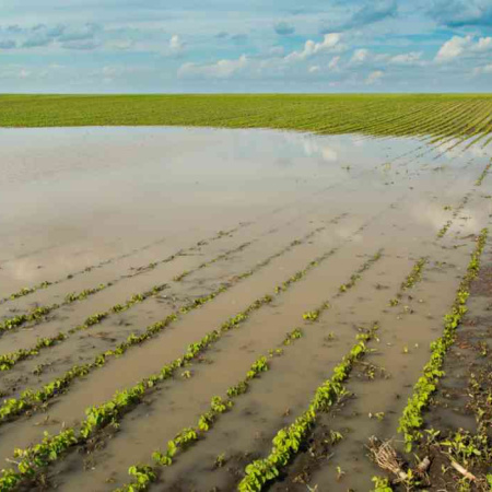 El campo le exigió “medidas urgentes y concretas” a Provincia por las inundaciones