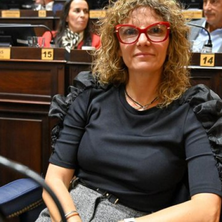 Dziakowski se sumó al bloque UCR + Cambio Federal y reacomoda el tablero en Diputados