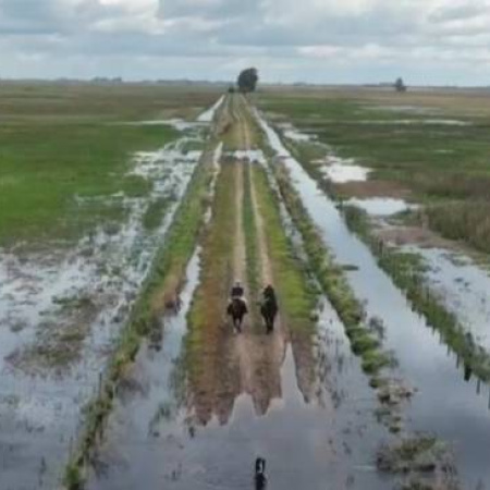 Saladillo pidió a la Provincia extender la emergencia agropecuaria hasta fin de año