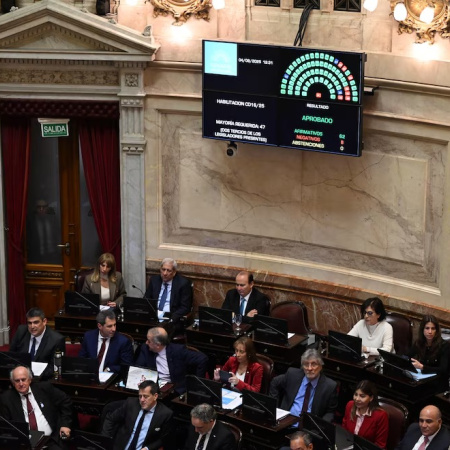 Derrota histórica para Milei: el Senado rechazó el veto a la emergencia en discapacidad
