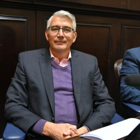 “El voto fue un mensaje claro contra el ajuste”, asegura Puglelli
