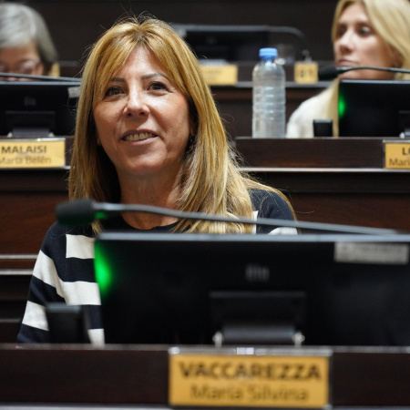 "La plata está, pero la ponen en plazo fijo", Vaccarezza apuntó a Milei por las inundaciones en el interior bonaerense