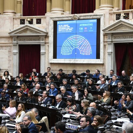 El Gobierno promulgó la ley en Discapacidad pero pidió al Congreso asignar fondos