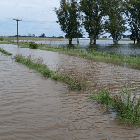 El agua no da tregua: prorrogan la emergencia agropecuaria en Bolívar, Nueve de Julio, Carlos Casares y Tapalqué
