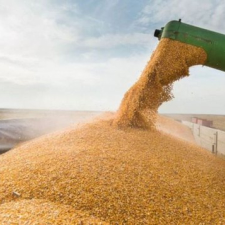 Del alivio al enojo: el campo denuncia que la quita de retenciones duró un “suspiro”