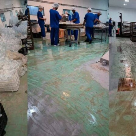 Fentanilo mortal: nuevos videos muestran cómo HLB Pharma borró pruebas