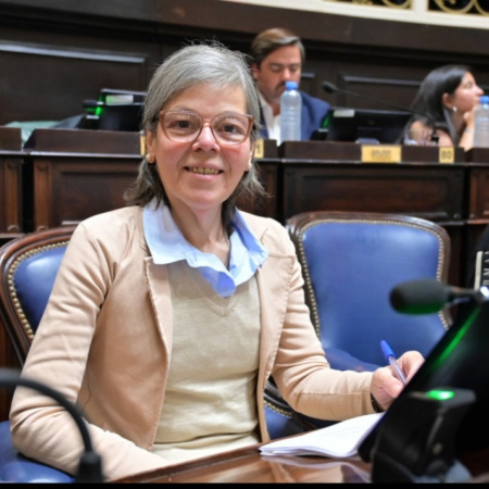 “Quiebre productivo” y derechos vulnerados: las alertas de Malaisi en la Legislatura