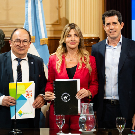 Fassi y Salomón defendieron en el Senado la creación de nuevas universidades