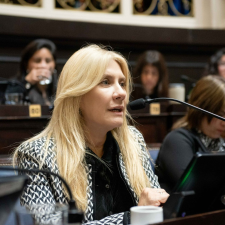 ¿Chau veda?: proponen permitir la venta de alcohol y eventos culturales antes de las elecciones