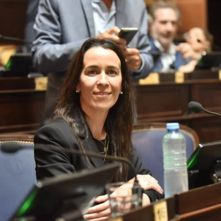 Buscan tipificar el “hostigamiento digital” en la provincia de Buenos Aires